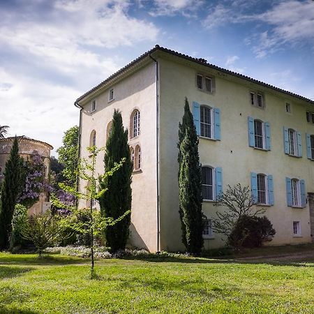 Chateau De Saint Felix Saint-Félix-de-Pallières Bagian luar foto