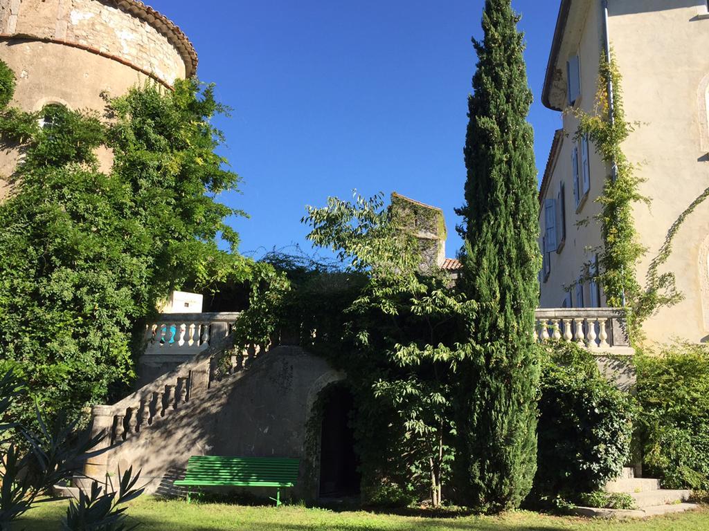 Chateau De Saint Felix Saint-Félix-de-Pallières Bagian luar foto