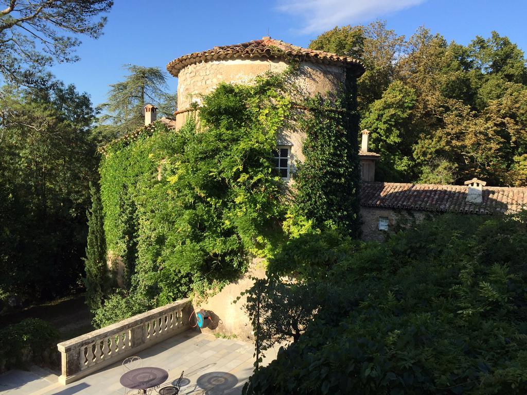 Chateau De Saint Felix Saint-Félix-de-Pallières Bagian luar foto